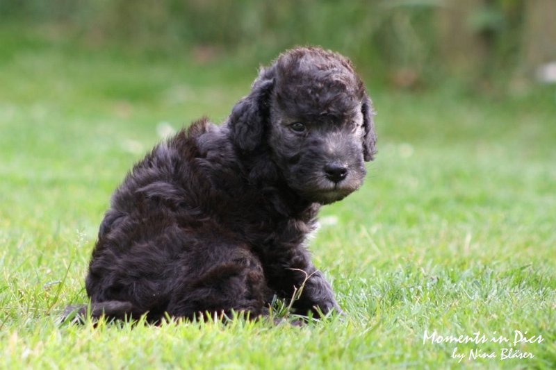 Arc-en-ciel Antares 2009-06-17 (24).JPG